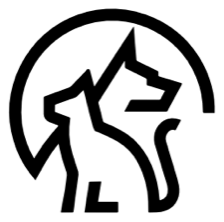 CompanAIn
